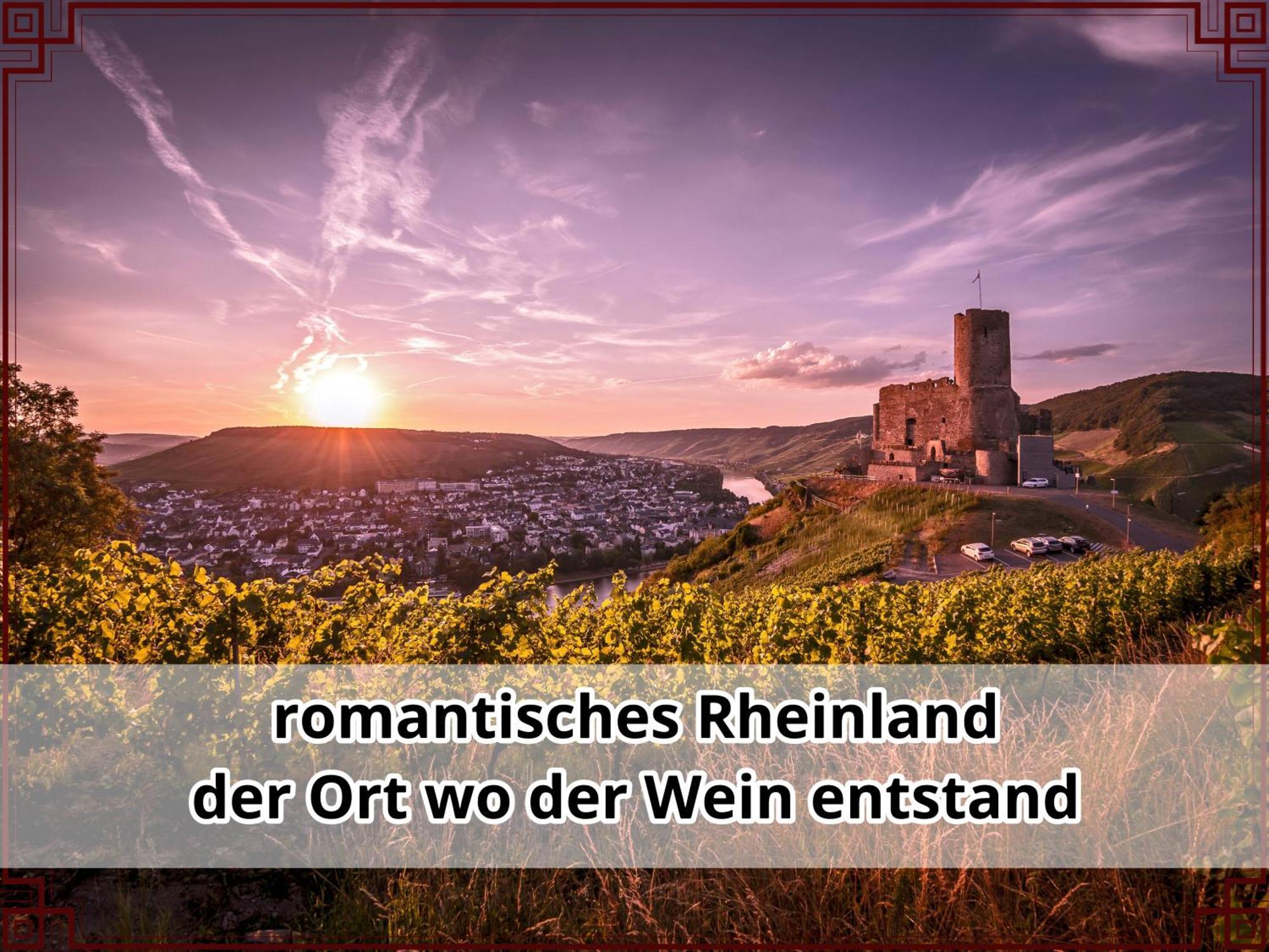 Smallsaigon Apartment Mit Guter Anbindung Zwischen Mosel Und Rhein Leiningen Dış mekan fotoğraf
